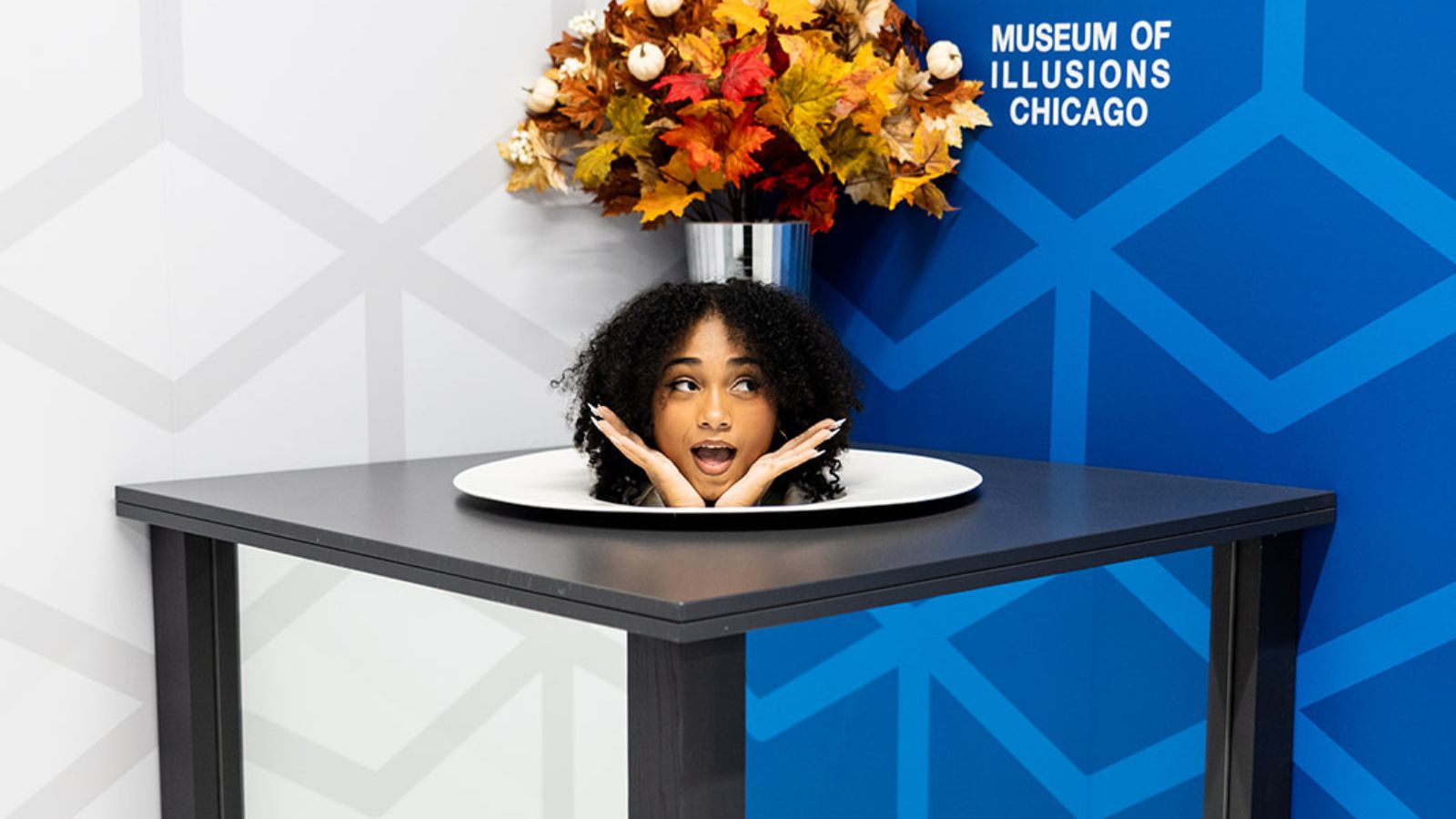 installations featured image exhibits list moi chicago 1600×900
