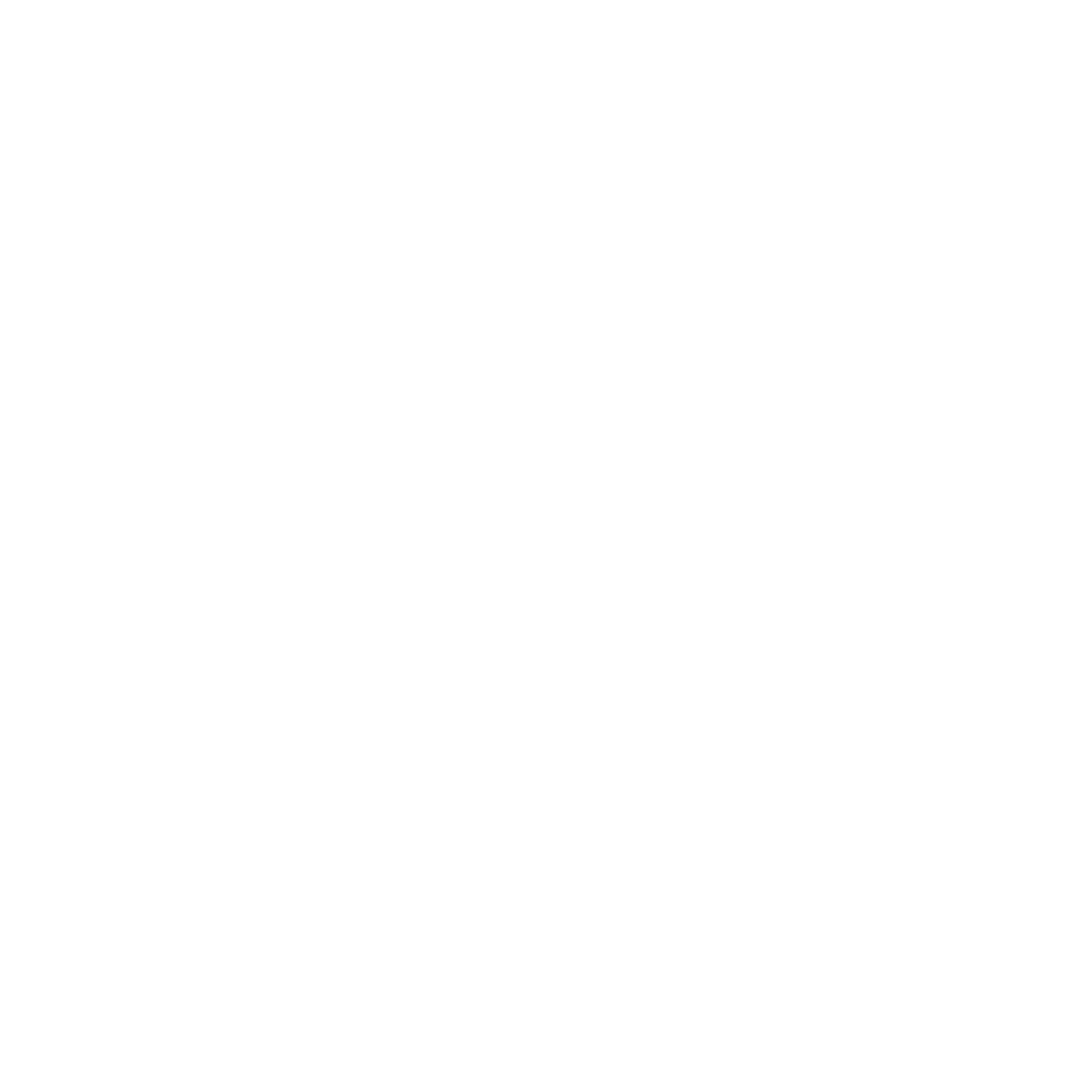 Icons Photoshoot White