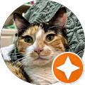 Mrs. Woods Avatar